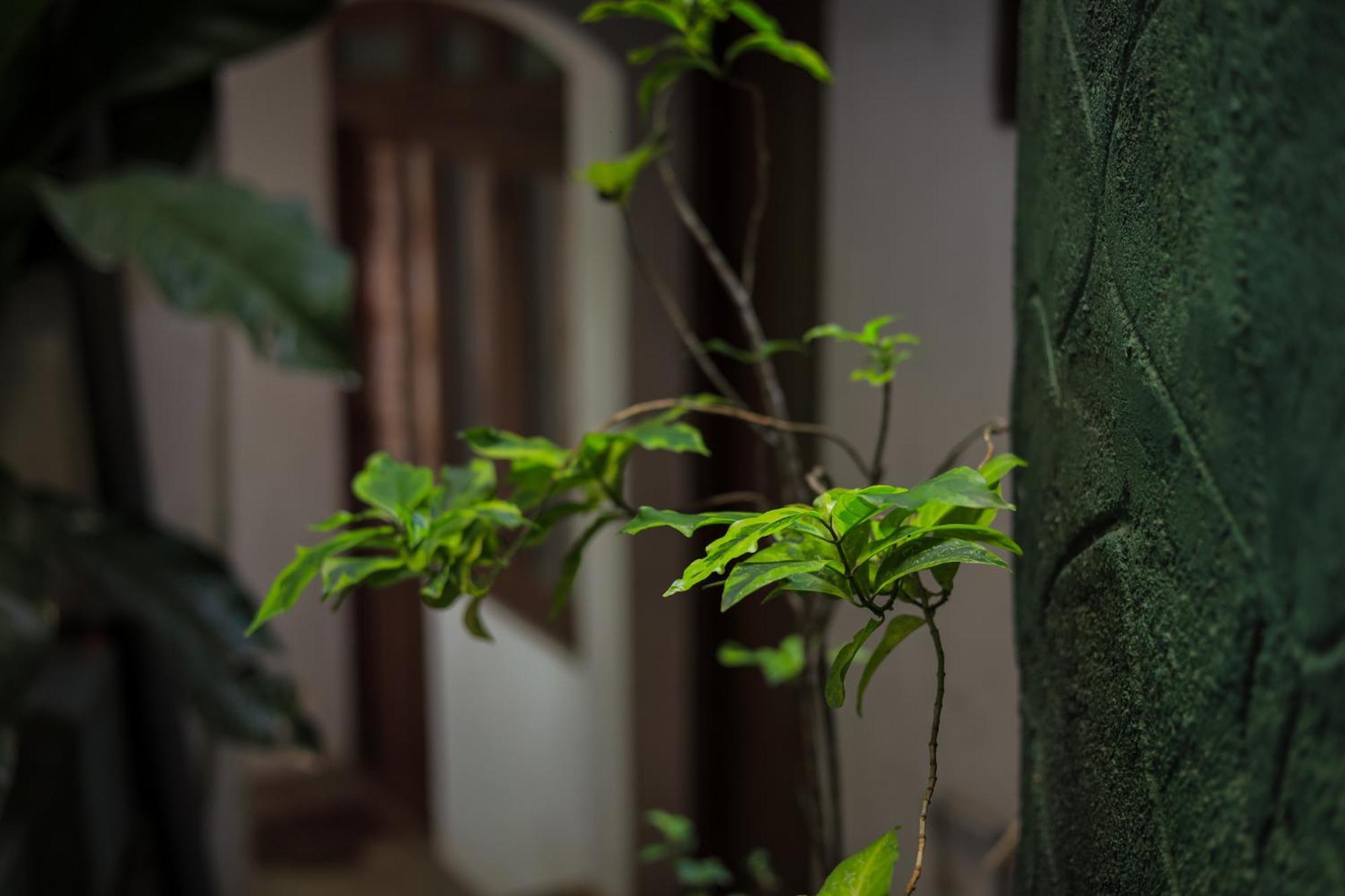 Cielo Residence Kandy Kültér fotó